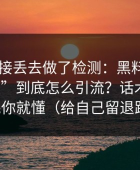 我把链接丢去做了检测：黑料网app“入口”到底怎么引流？话术拆解看完你就懂（给自己留退路）