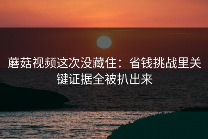 蘑菇视频这次没藏住：省钱挑战里关键证据全被扒出来