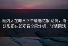圈内人在昨日下午遭遇花絮 动情，蘑菇影视在线观看全网炸锅，详情围观