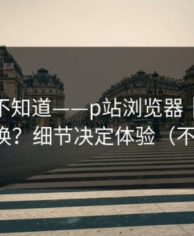 很多人不知道——p站浏览器｜多设备怎么切换？细节决定体验（不吹不黑）