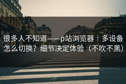 很多人不知道——p站浏览器｜多设备怎么切换？细节决定体验（不吹不黑）