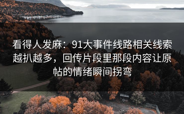 看得人发麻：91大事件线路相关线索越扒越多，回传片段里那段内容让原帖的情绪瞬间拐弯