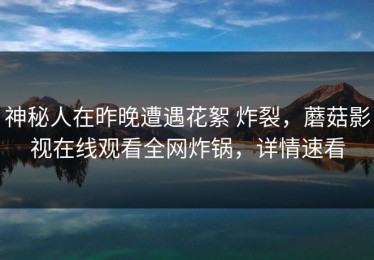 神秘人在昨晚遭遇花絮 炸裂，蘑菇影视在线观看全网炸锅，详情速看