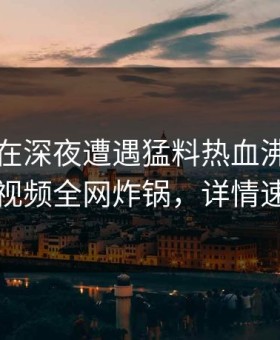 圈内人在深夜遭遇猛料热血沸腾，樱花视频全网炸锅，详情速看
