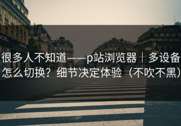 很多人不知道——p站浏览器｜多设备怎么切换？细节决定体验（不吹不黑）