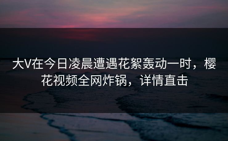 大V在今日凌晨遭遇花絮轰动一时，樱花视频全网炸锅，详情直击